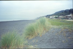 0158 Pacifik - Curanipe.jpg